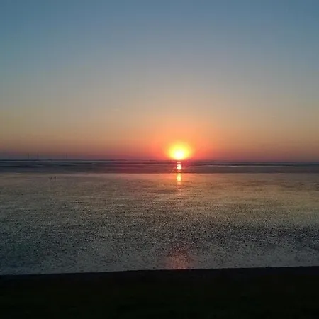 530 In トッセンス